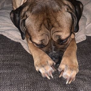 Meet your Posher, Audrina